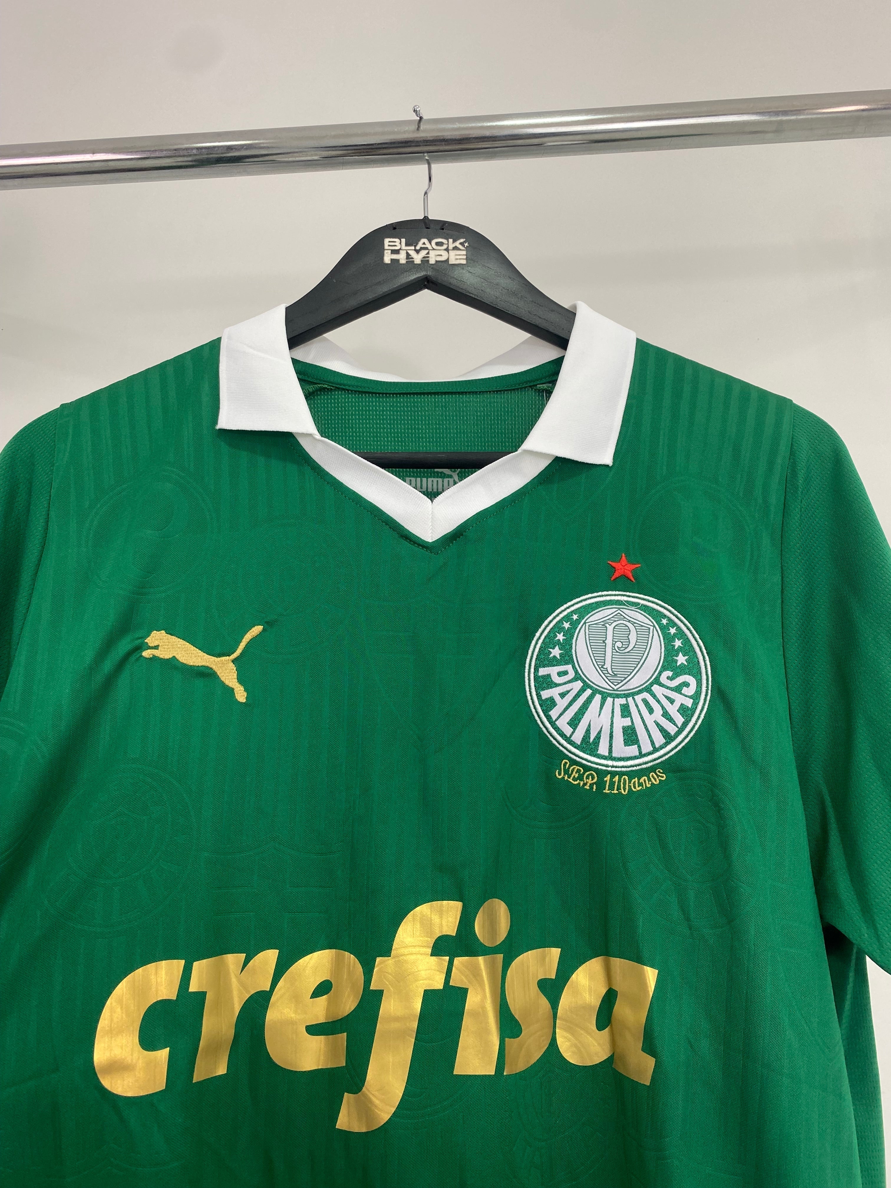 Camiseta do Palmeiras Primera Equipación 24/25 s/n° Torcedor Masculino - Verde
