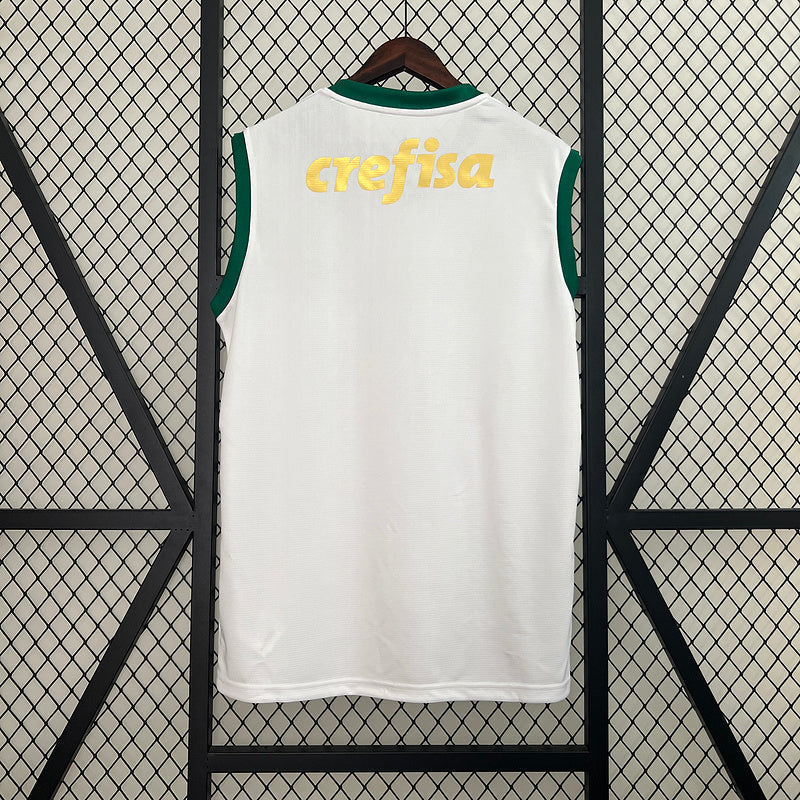Camiseta 24∕25 Vest Palmeiras Segunda Equipación