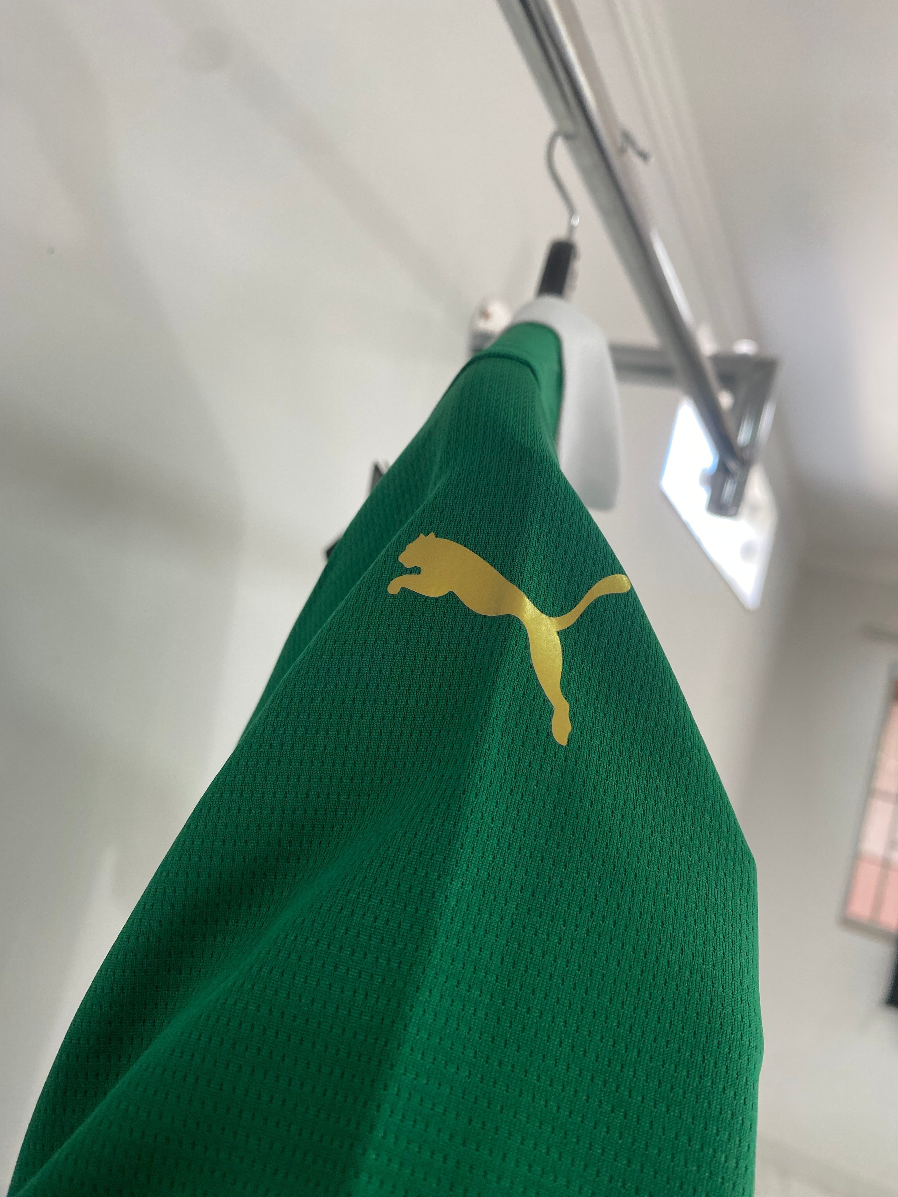 Camiseta do Palmeiras Primera Equipación 24/25 s/n° Torcedor Masculino - Verde