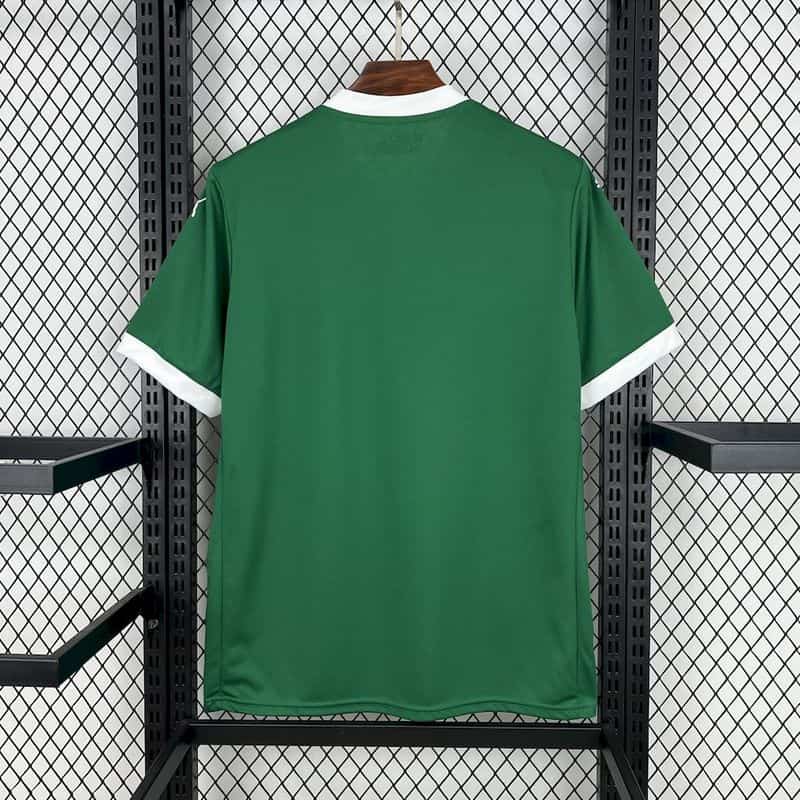 Palmeiras 2025∕26 Primera Equipación Camiseta(F1E3)