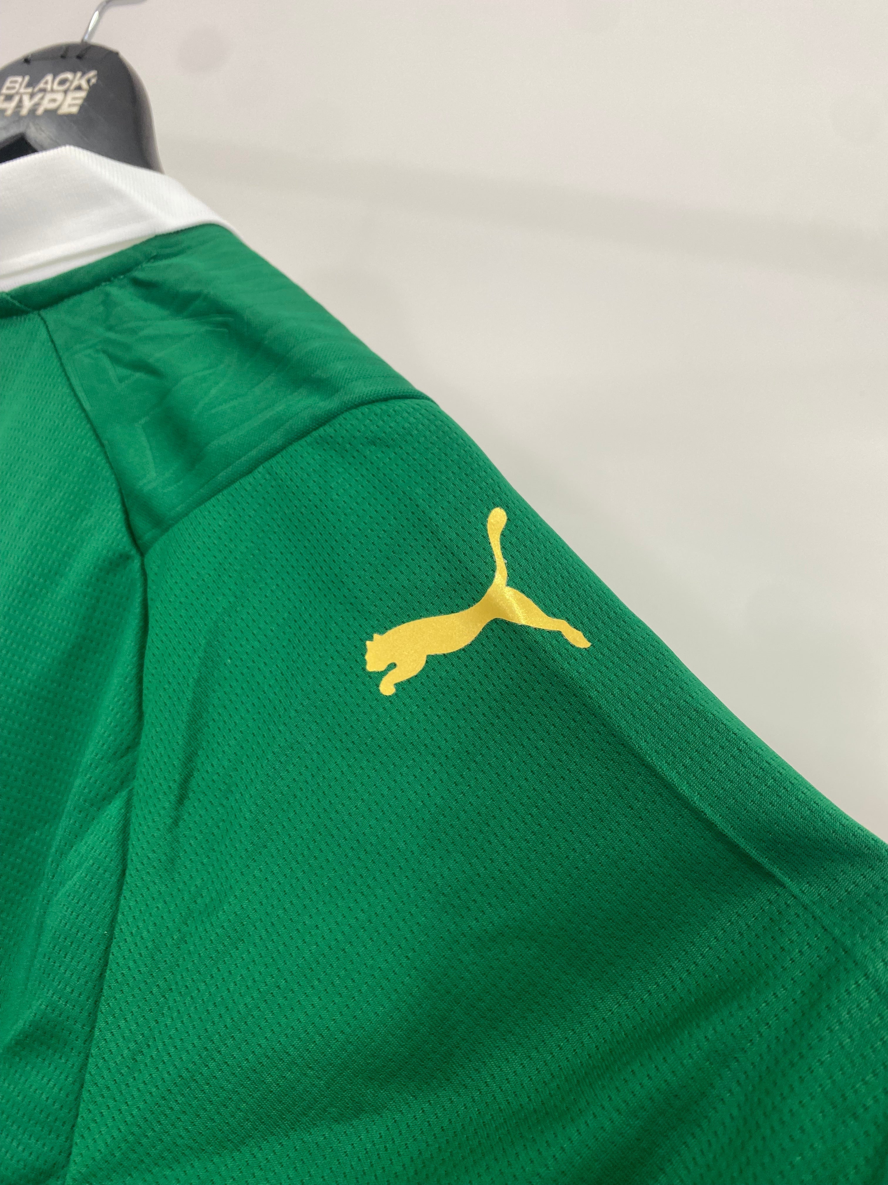 Camiseta do Palmeiras Primera Equipación 24/25 s/n° Torcedor Masculino - Verde