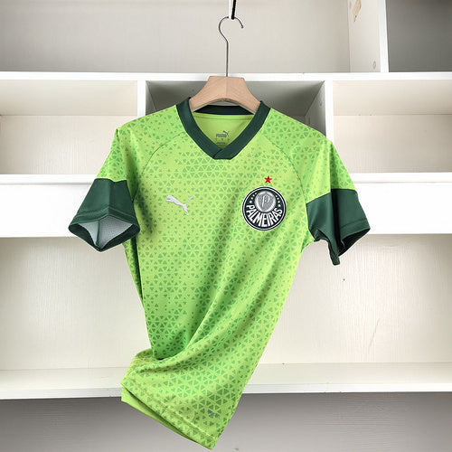 Camiseta Palmeiras 24-25 TrainingKit