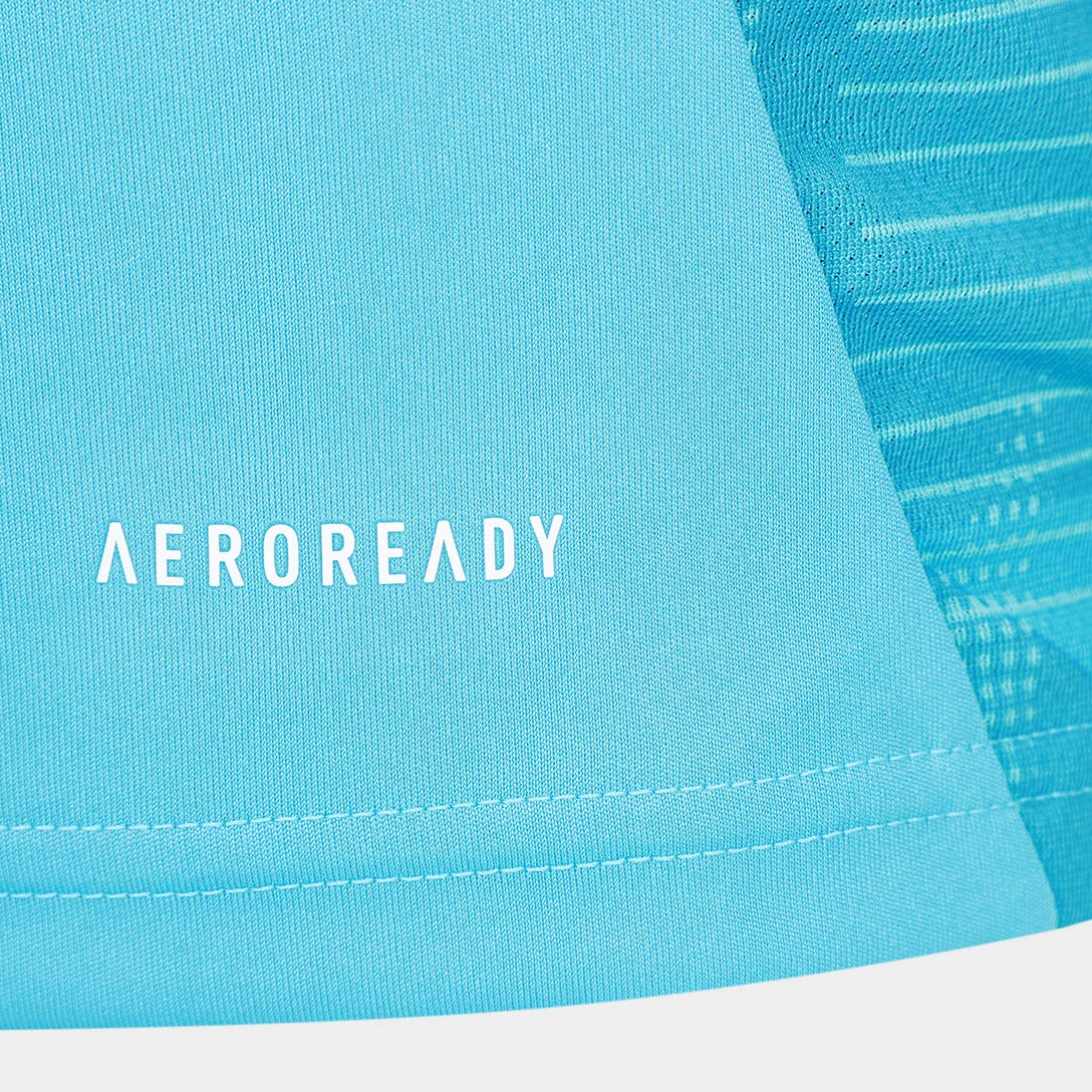 Camiseta Flamengo Treino 25/26 Azul e Vermelho