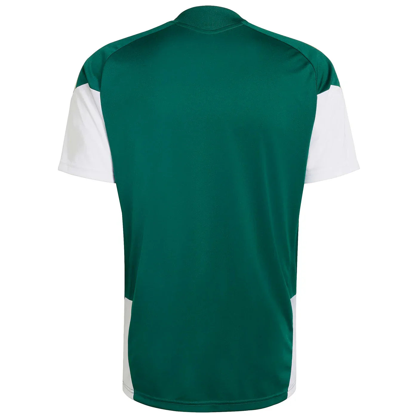 Camiseta Italia 2026 Entrenamiento Mundial