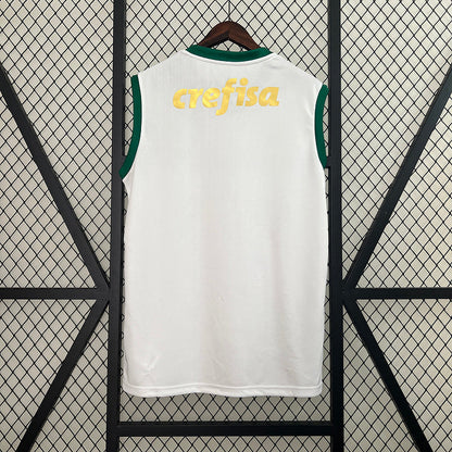 Camiseta 24∕25 Vest Palmeiras Segunda Equipación