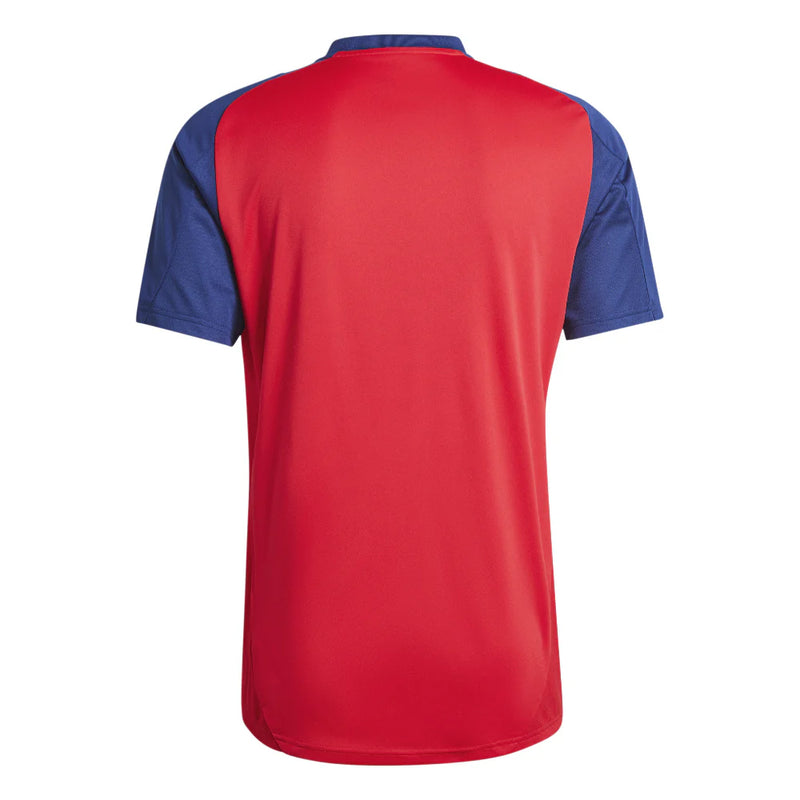 Jersey España Entrenamiento 2025