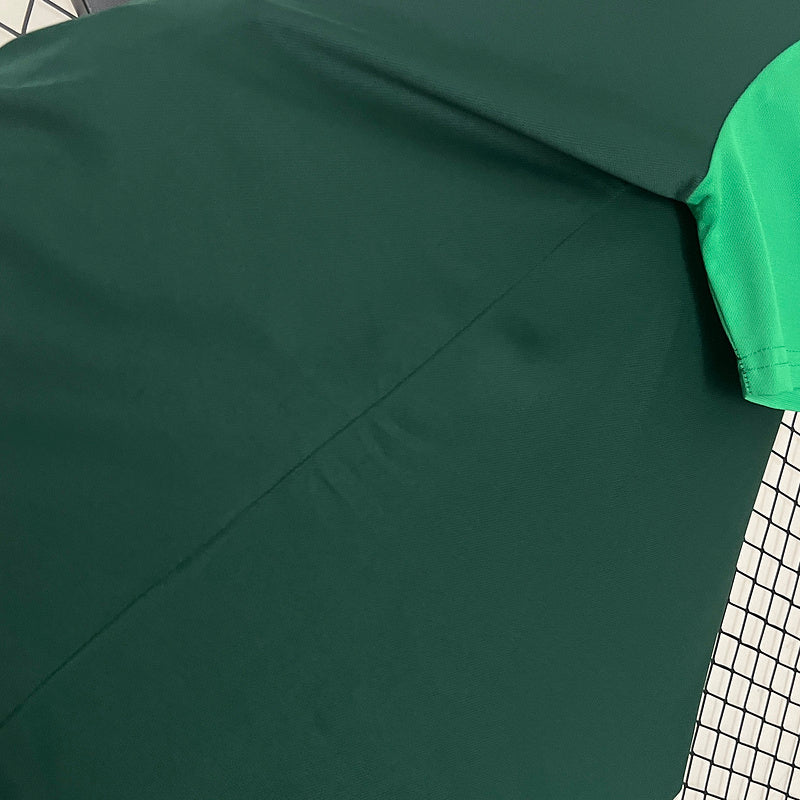 Camiseta 24∕25 Polo Palmeiras green