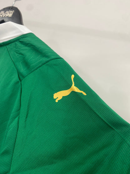 Camiseta do Palmeiras Primera Equipación 24/25 s/n° Torcedor Masculino - Verde