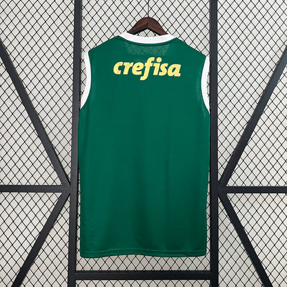 Camiseta 24∕25 Vest Palmeiras Primera Equipación