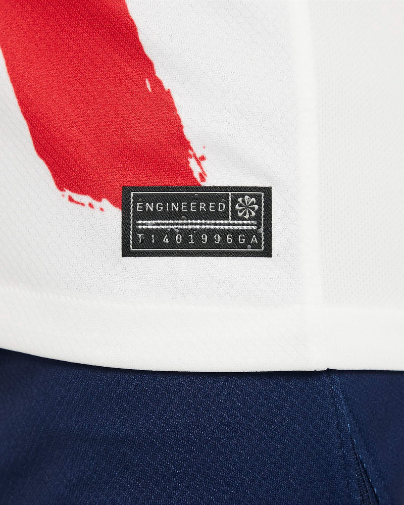 Camiseta PSG 24/25 Away