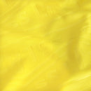 Camiseta Lazio 24/25 Away