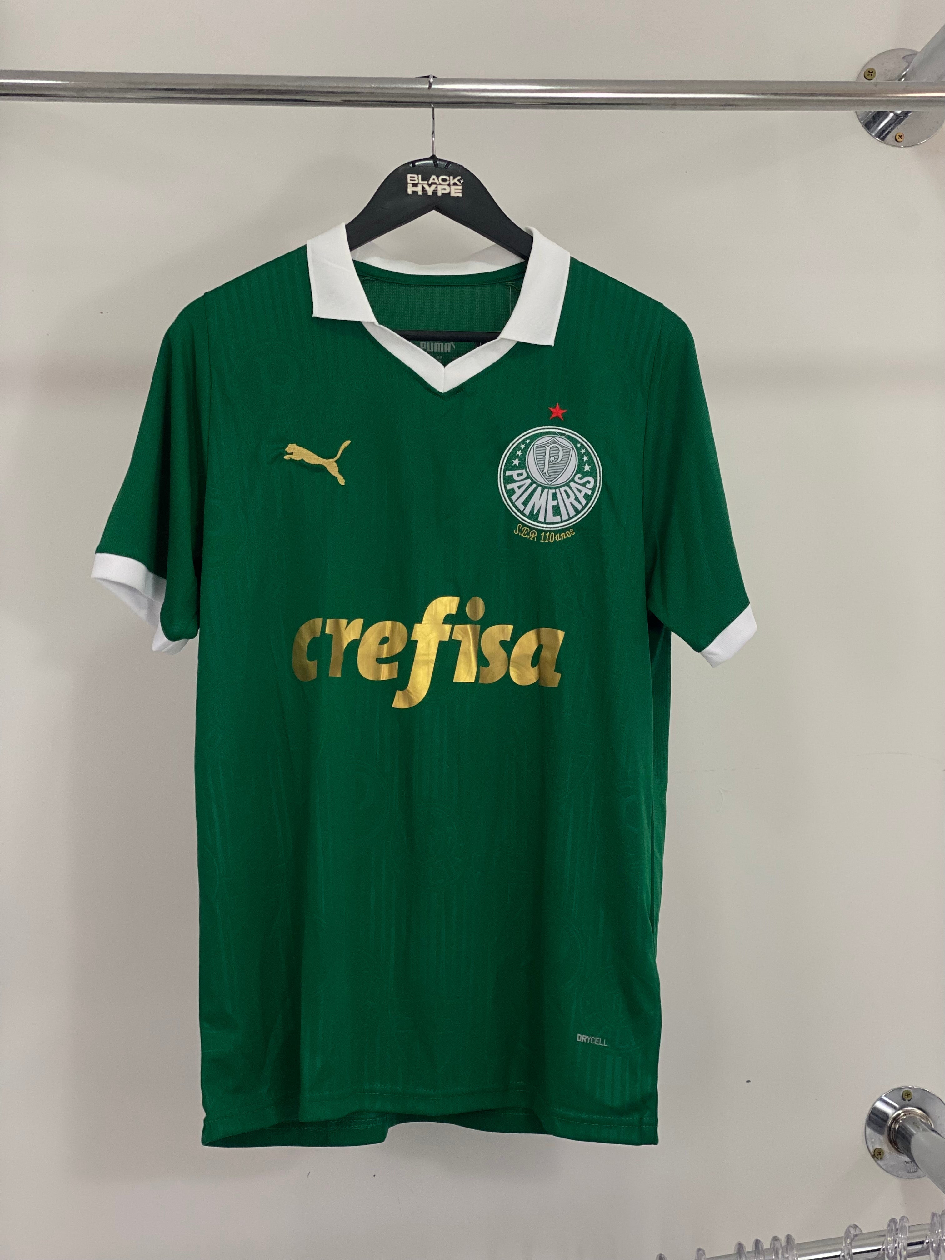 Camiseta do Palmeiras Primera Equipación 24/25 s/n° Torcedor Masculino - Verde