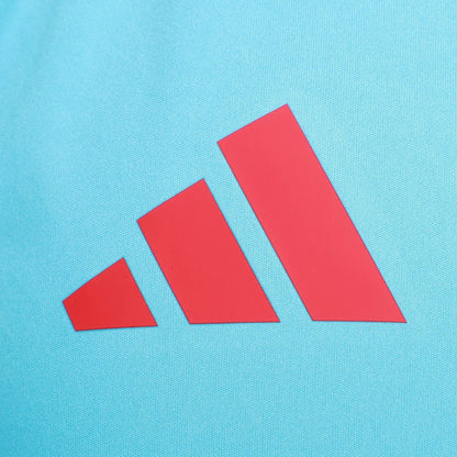 Camiseta Flamengo Regata Treino 25/26 Azul e Vermelho