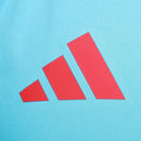 Camiseta Flamengo Regata Treino 25/26 Azul e Vermelho