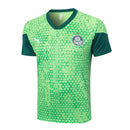 Set Palmeiras Training24/25 - Verde