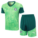 Set Palmeiras Training24/25 - Verde