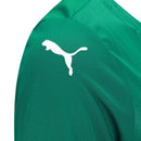 Jersey Palmeiras Feminina Home 25/26 - Verde