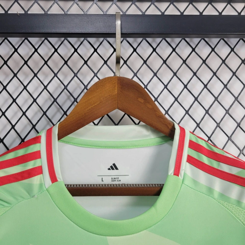 Jersey Italia 25/26 - Verde