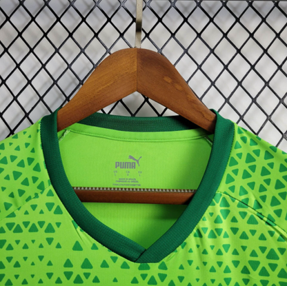 Camiseta 24∕25 Palmeiras Treino