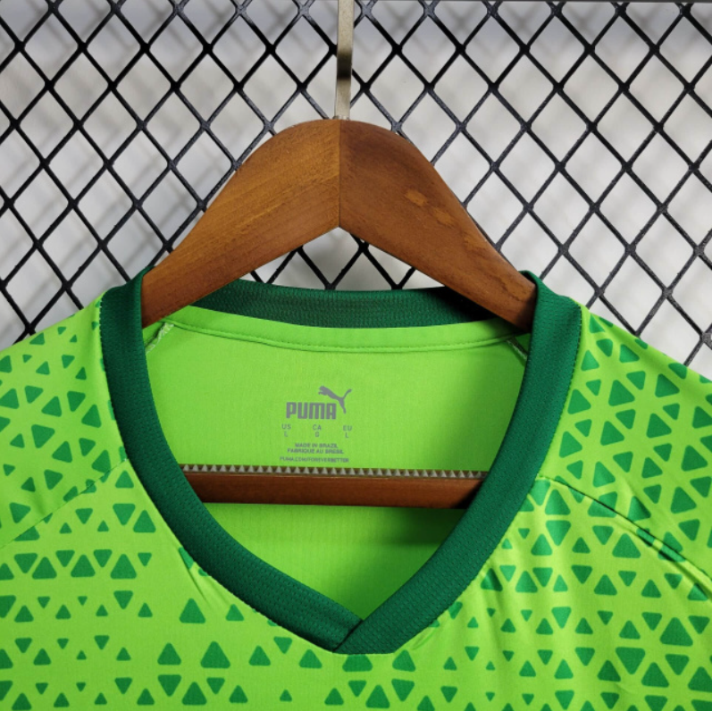 Camiseta 24∕25 Palmeiras Treino