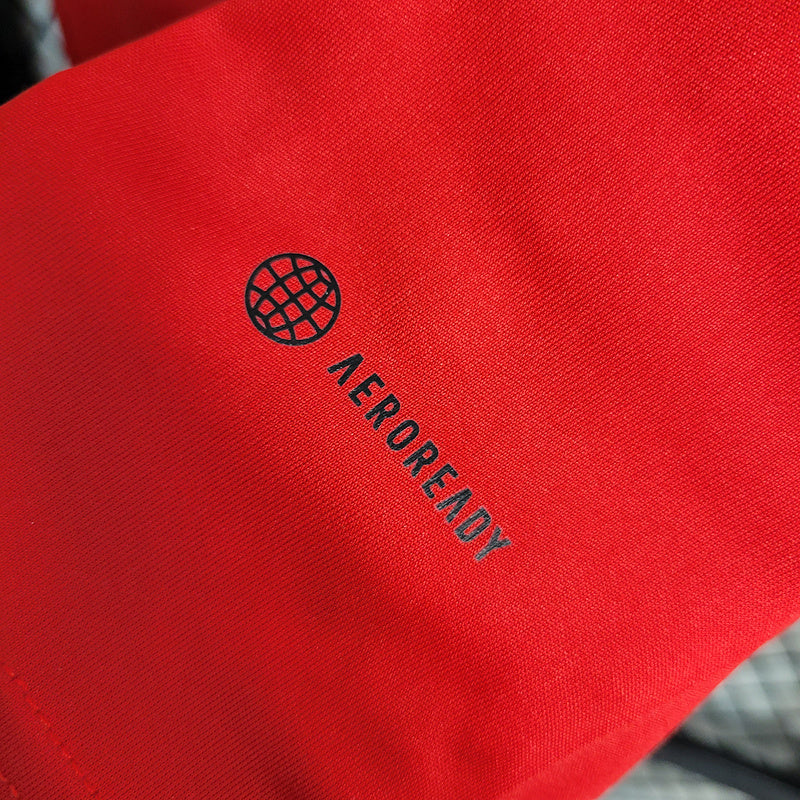 Camiseta 23∕24 Flamengo Treino - Mujer - Vermelho