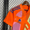 Camiseta Seleção Italia 24/25 - Goleiro