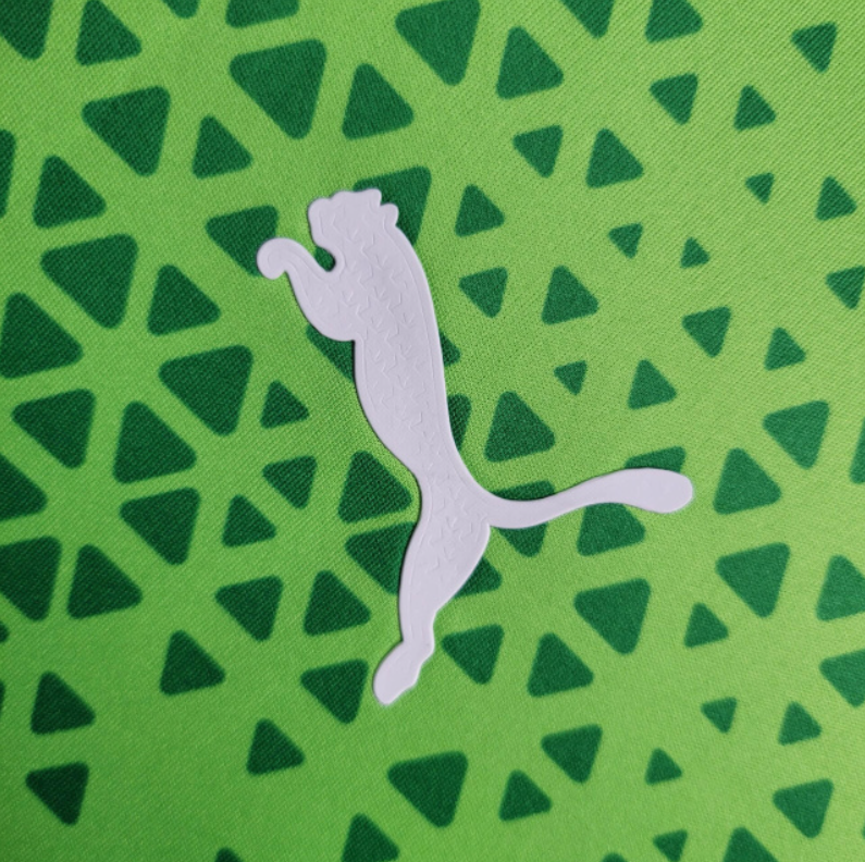 Camiseta 24∕25 Palmeiras Treino