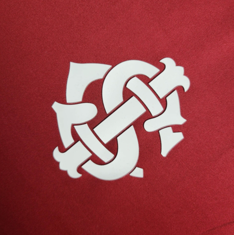 Jersey Internacional Training24/25 Adidas -