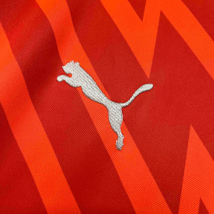 Camiseta do Palmeiras Goleiro 24/25 - Laranja