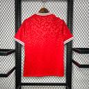 Camiseta Seleção Dinamarca 24/25 - Home - Vermelha