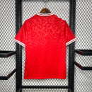 Jersey Seleção Dinamarca 24/25 - Home - Vermelha