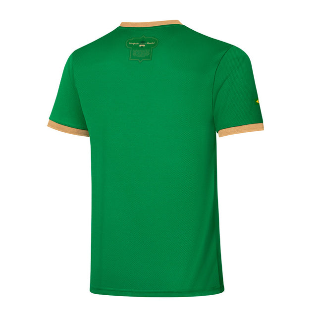 Camiseta Palmeiras Edição Comemorativa 70 Anos Puma - Verde