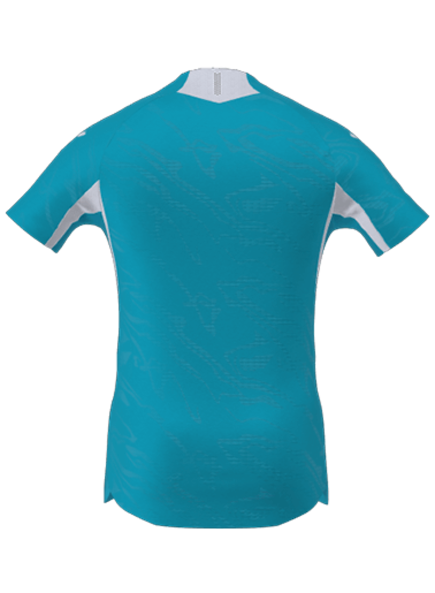 Camiseta Feminina Hoffenheim 25/26 Segunda Equipación